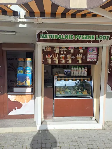 GELATO FRESCO WYTWÓRNIA LODÓW